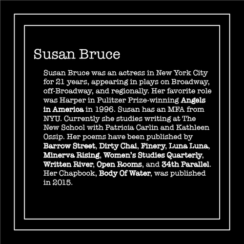 Susan Bruce Author Bio