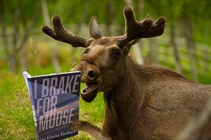 Moose Reading